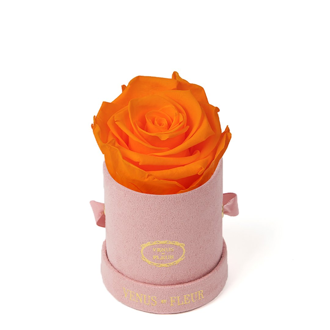 Le Mini™ Round