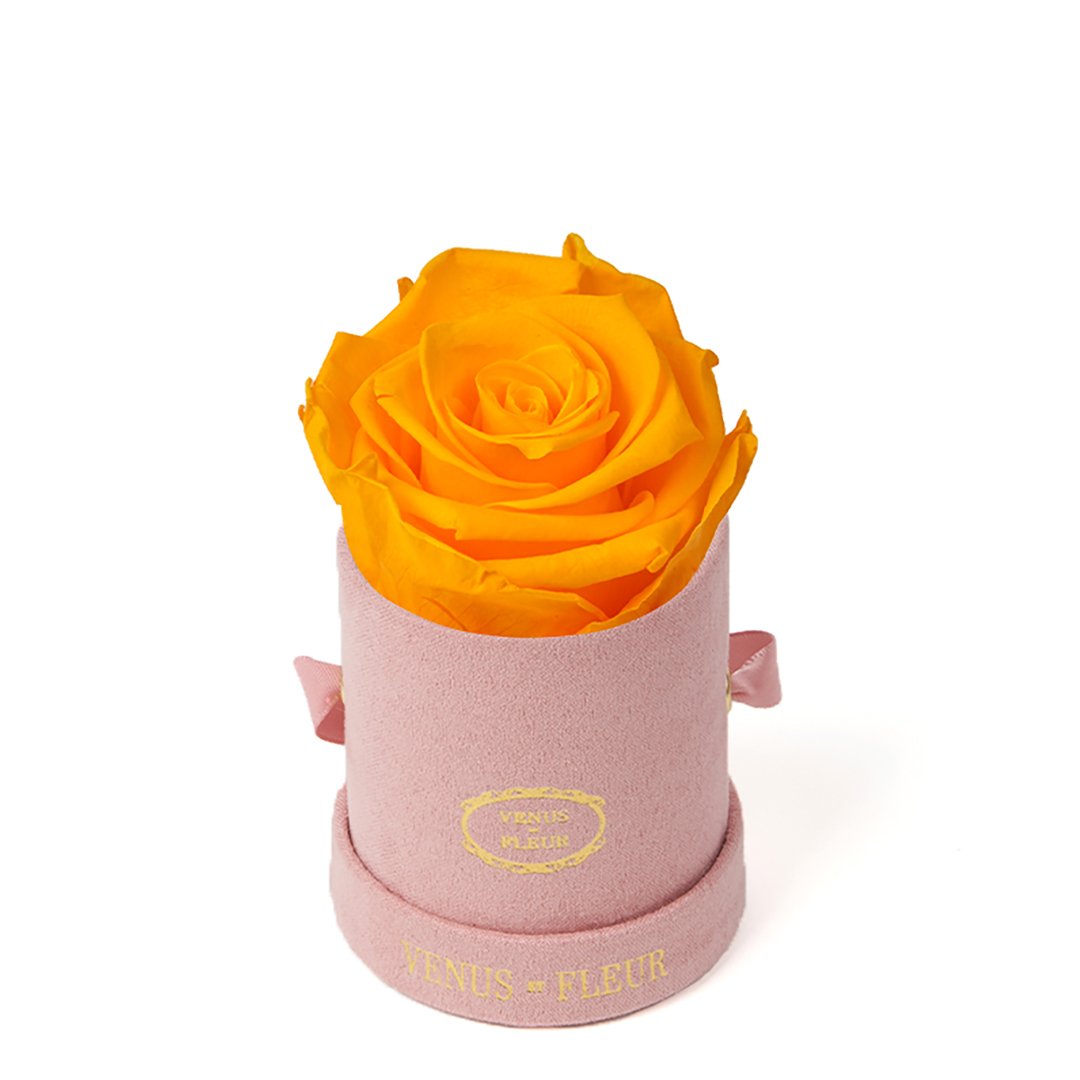 Le Mini™ Round