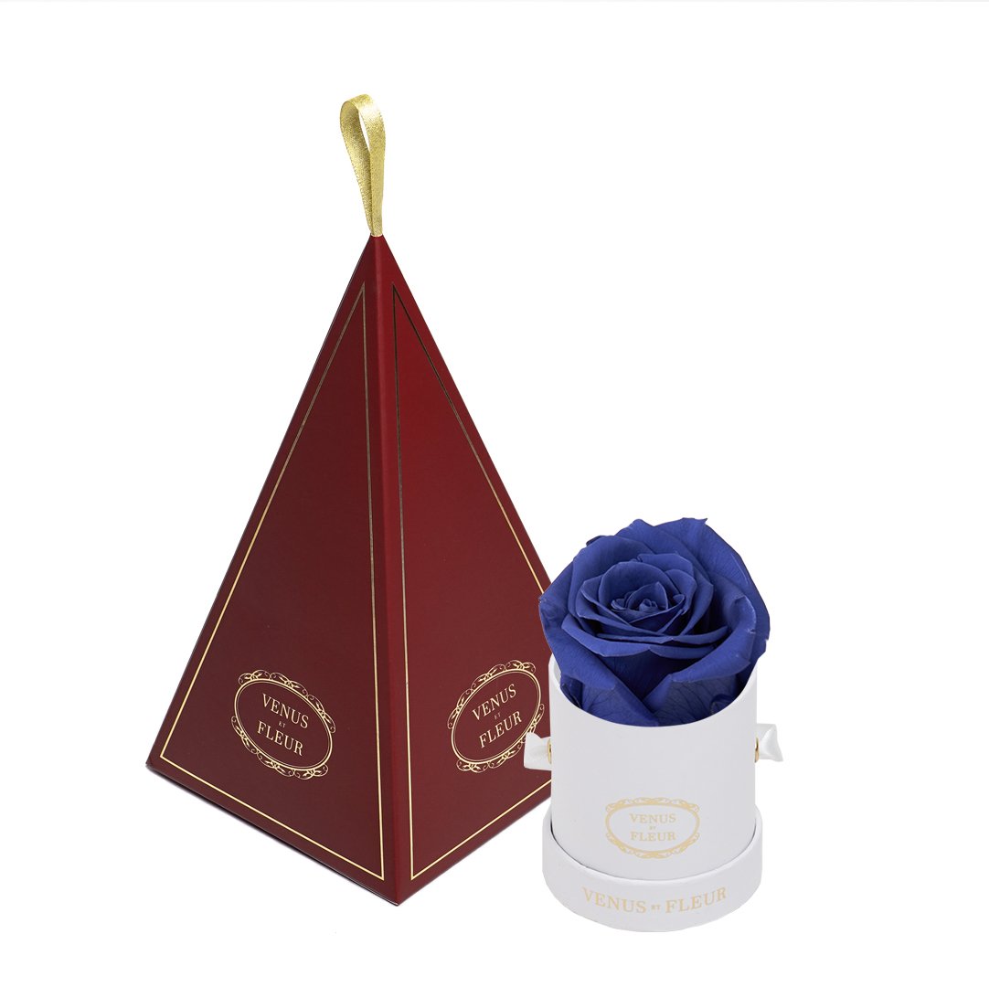 Le Mini™ Ornament