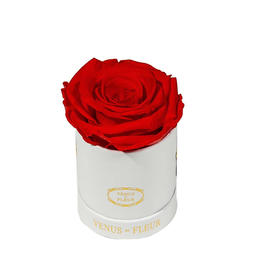 Le Mini™ Round