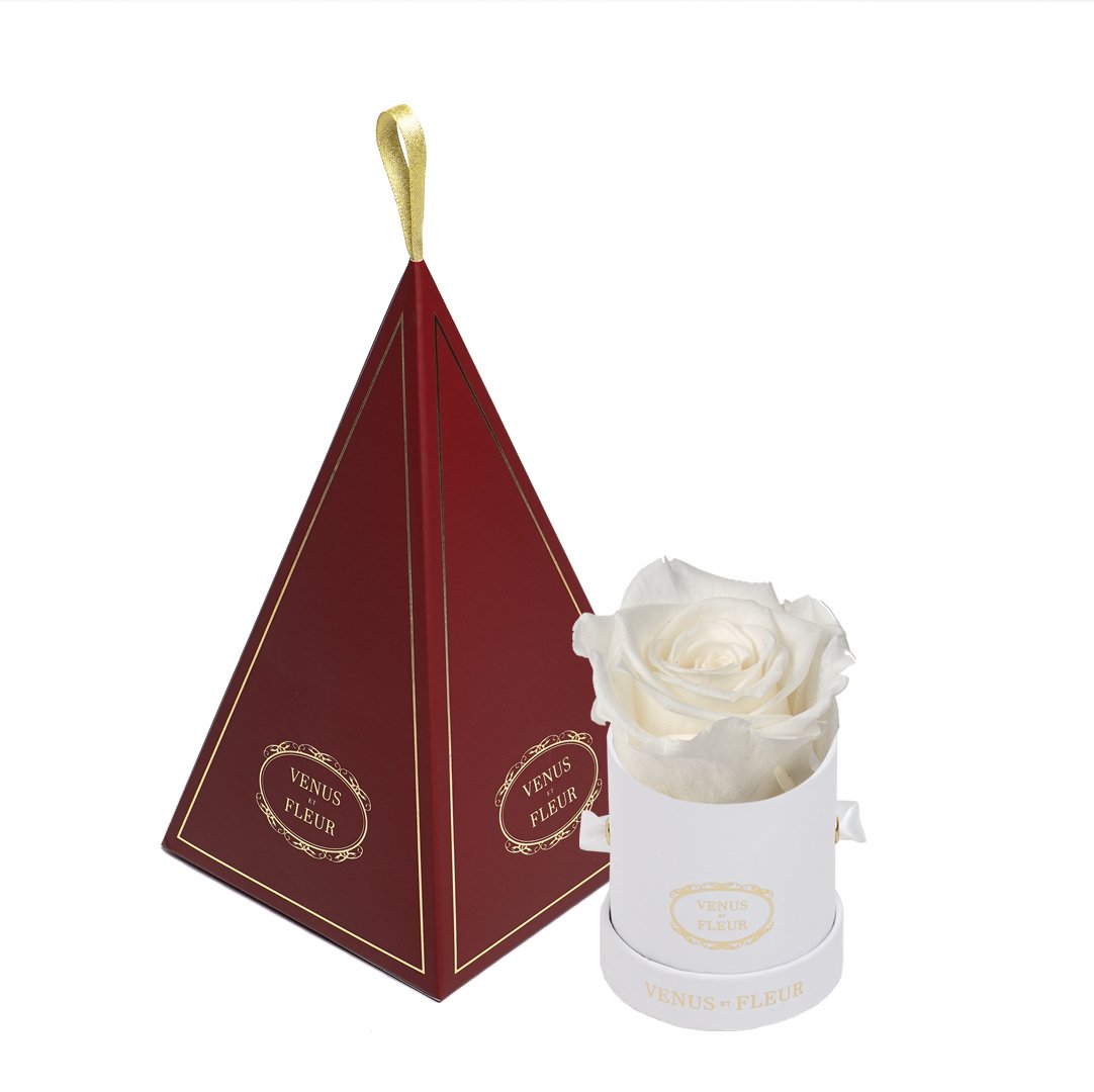 Le Mini™ Ornament