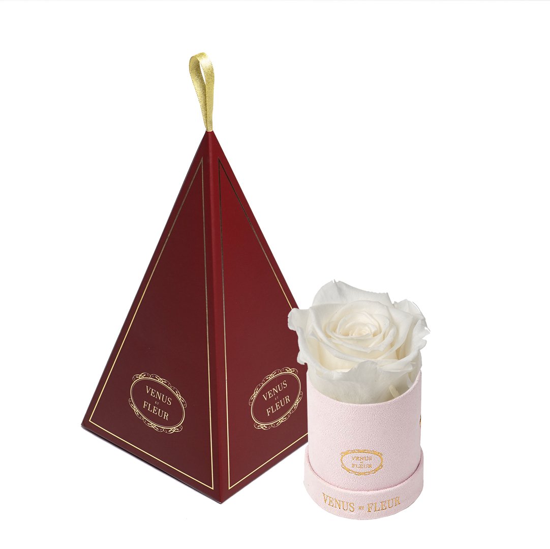 Le Mini™ Ornament
