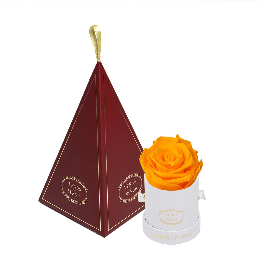 Le Mini™ Ornament