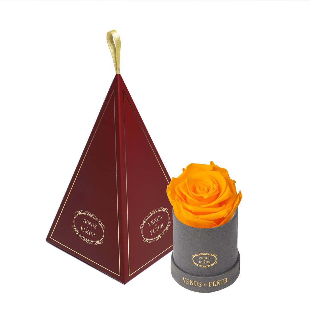 Le Mini™ Ornament