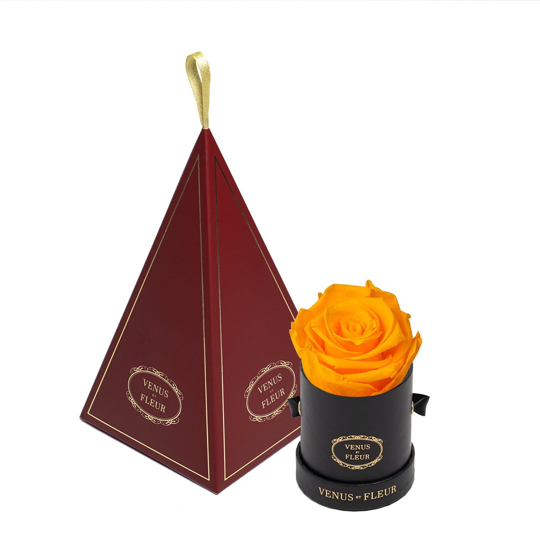 Le Mini™ Ornament