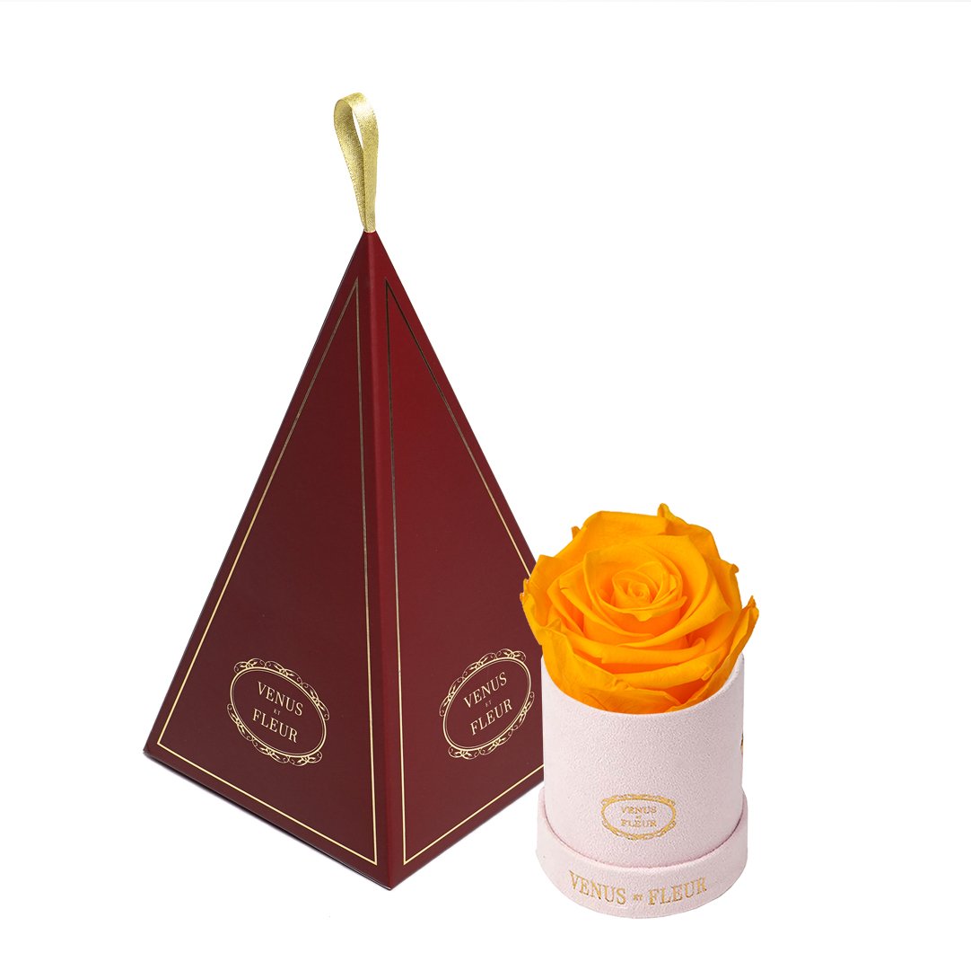 Le Mini™ Ornament