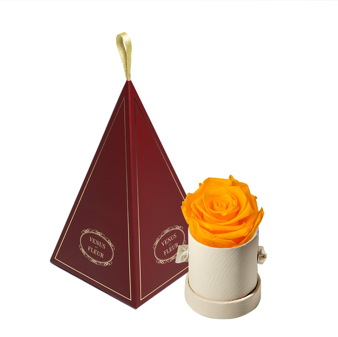 Le Mini™ Ornament