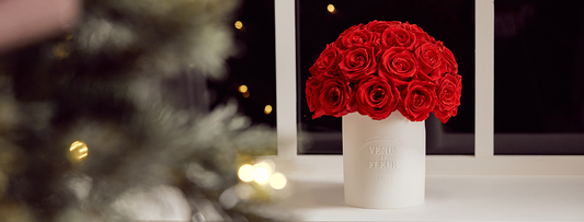 Holiday Dinner Decor and Recipes for a Delicious, Gorgeous, Very Venus Holiday