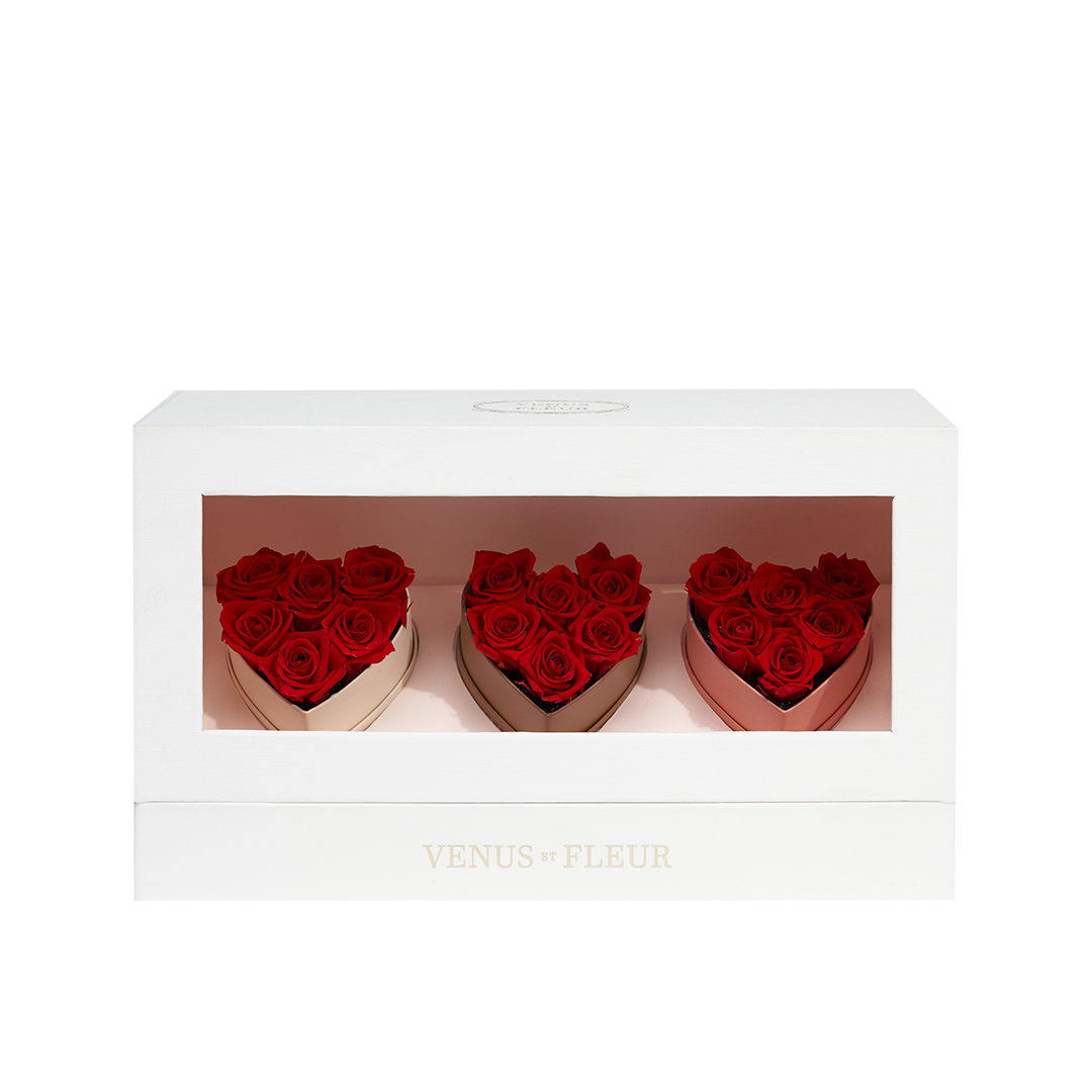 Le Mini™ Heart Bundle Set