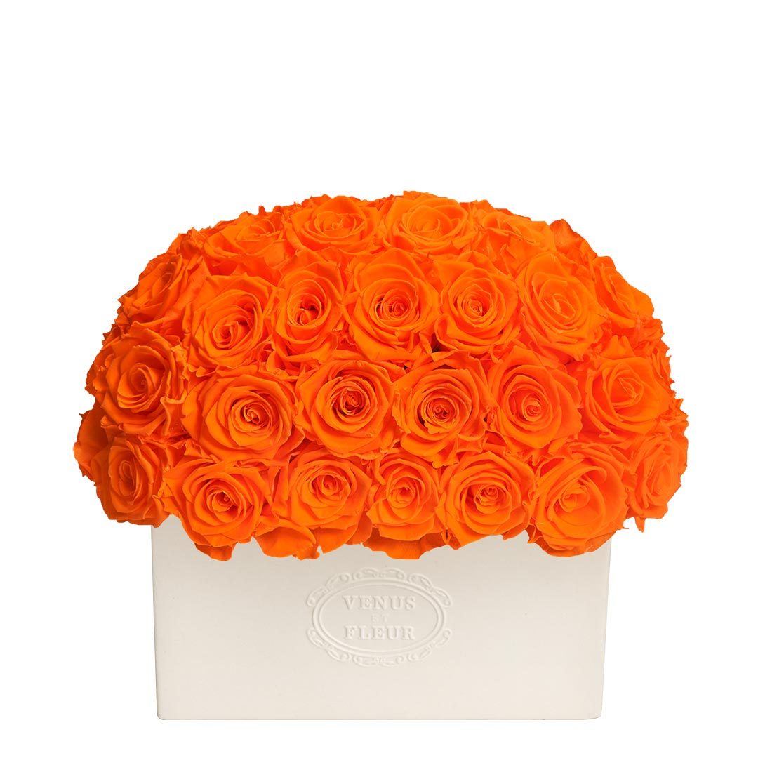 Serene Vase with Eternity® Roses